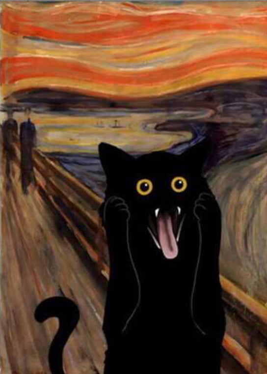 Gato el grito