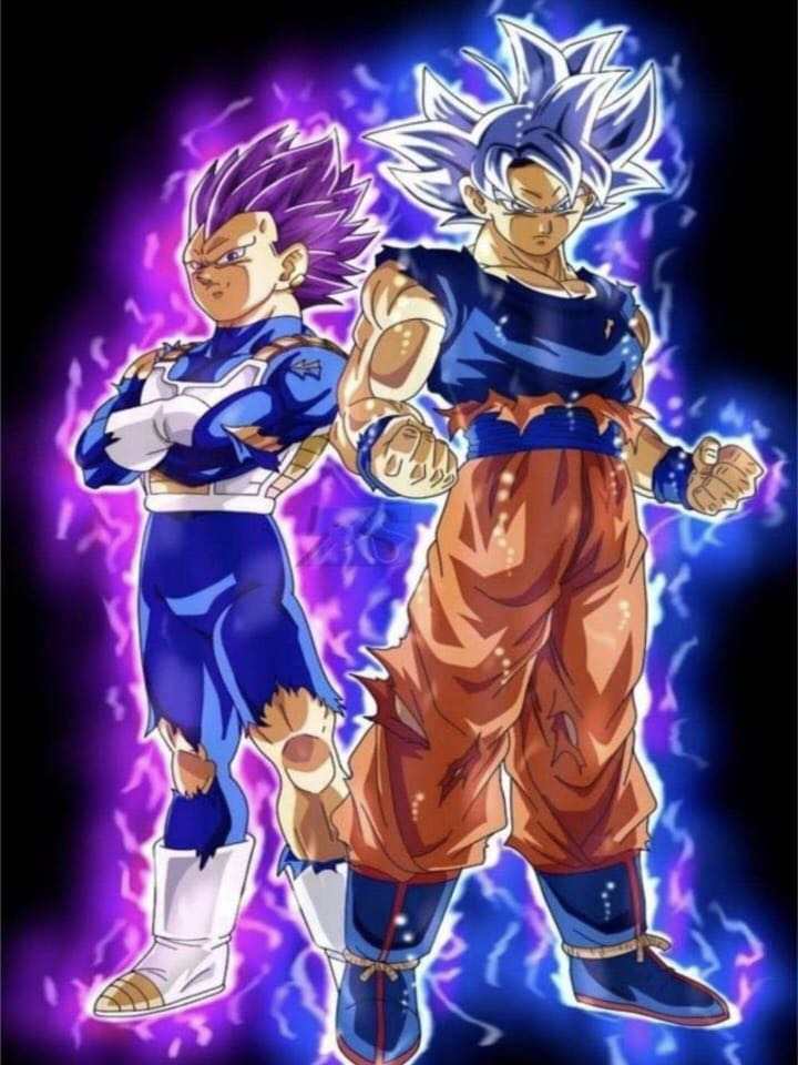 Goku y Vegeta - Kit de pintura diamante