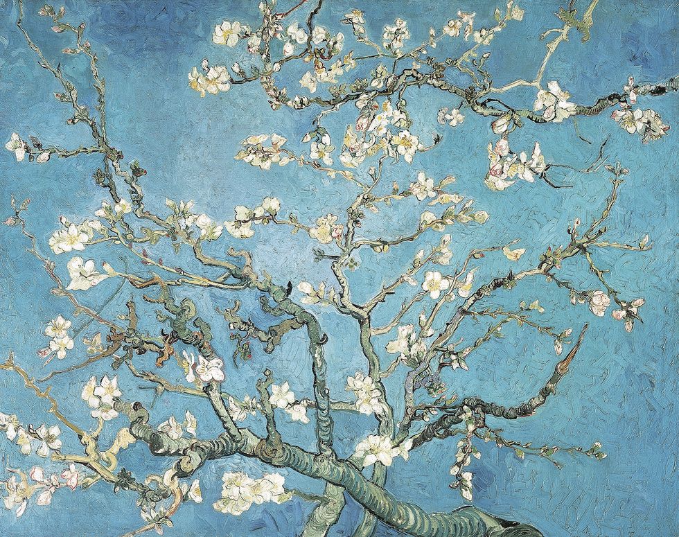 Almendro (Colección Van Gogh) - Kit de pintura diamante