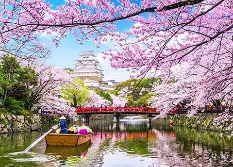 Pintura diamante kit básico - Paisaje Japones