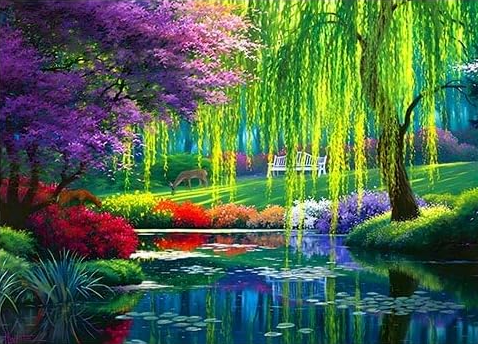Pintura diamante kit básico - Paseo en el Bosque