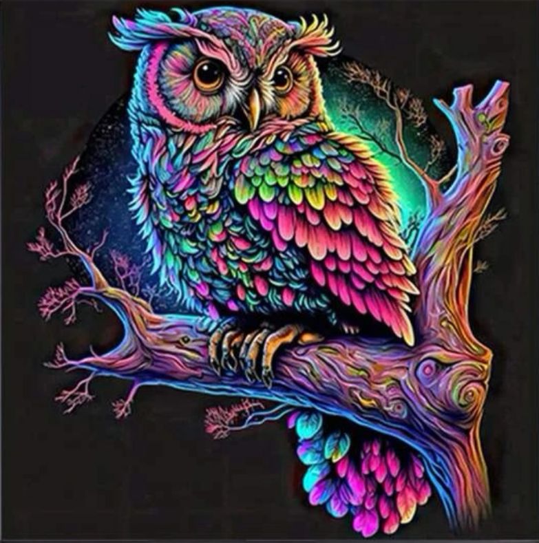 Pintura diamante kit básico - Búho de colores
