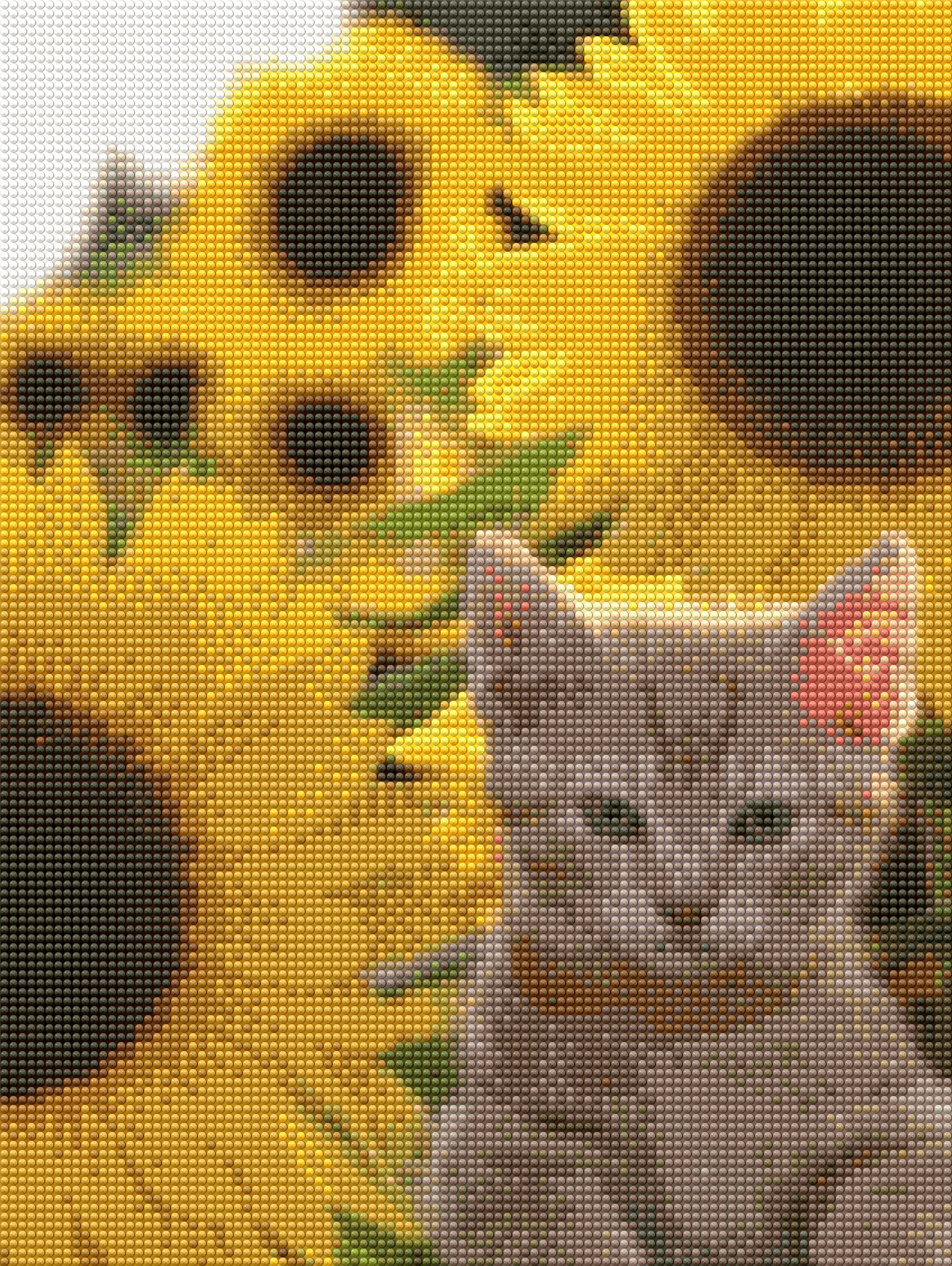 Gato entre girasoles
