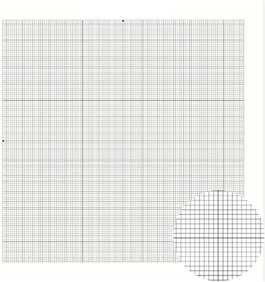 Lienzo en blanco (cuadrícula adhesiva)