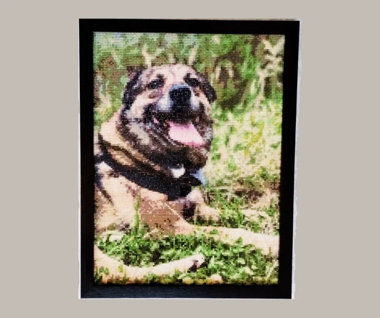 Marco de policarbonato+plástico 30X40 cm