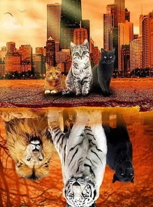 Gatos y Reflejos- Kit de pintura diamante