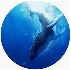 Ballena azul - Kit de pintura diamante