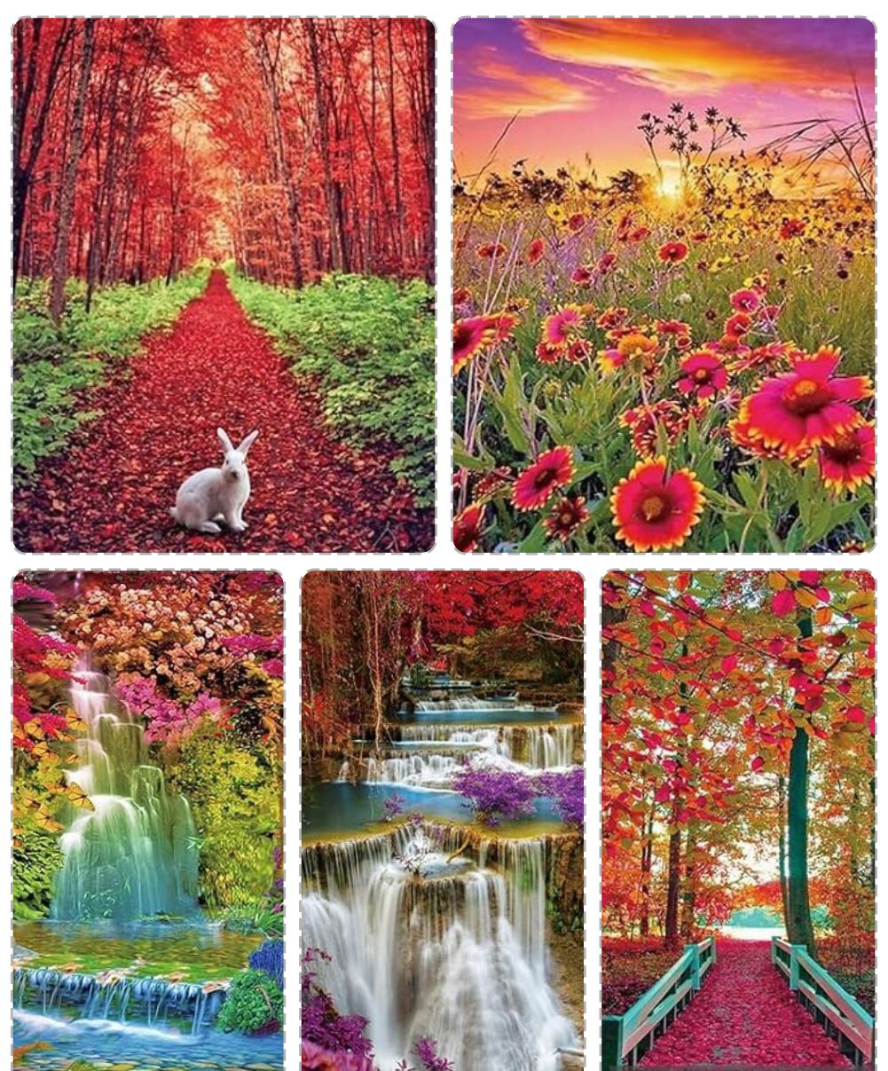 Set para compartir - 5 Paisajes Naturaleza Increible
