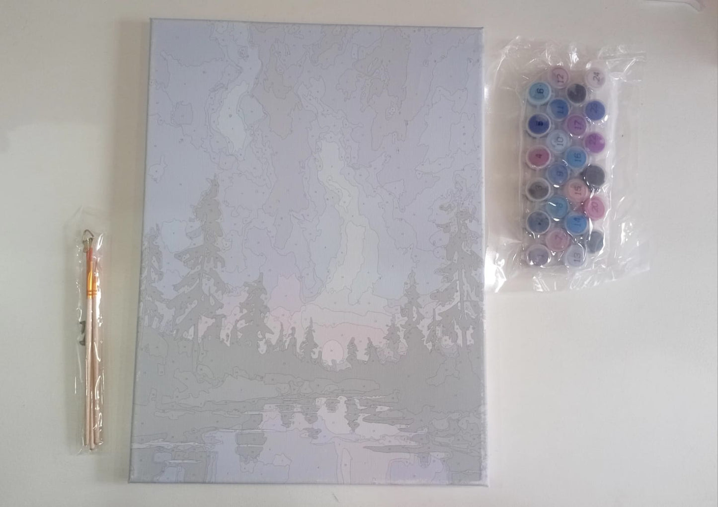 PINTURA POR NÚMERO PAISAJE EN BASTIDOR