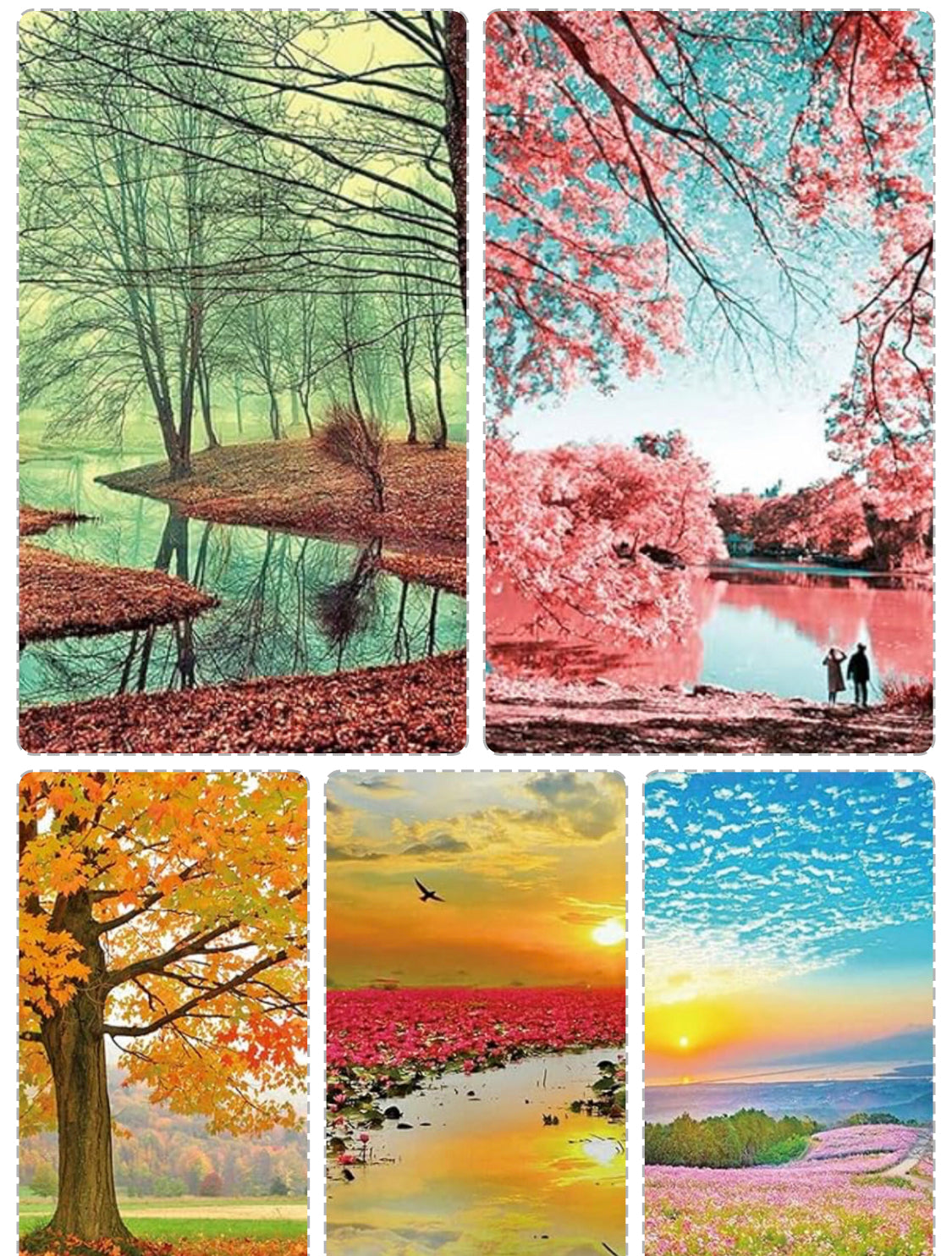 Set para compartir - 5 Paisajes Naturaleza Increible