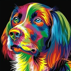 Pintura diamante – Perro de colores (Diamante cuadrado)