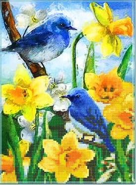 Narcisos y Pájaros Azules