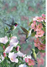 Colibríes y Flores