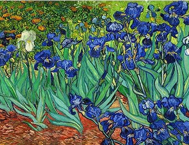 Lirios de Van Gogh
