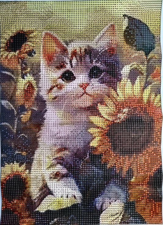 Gato con girasoles - - Kit de pintura diamante