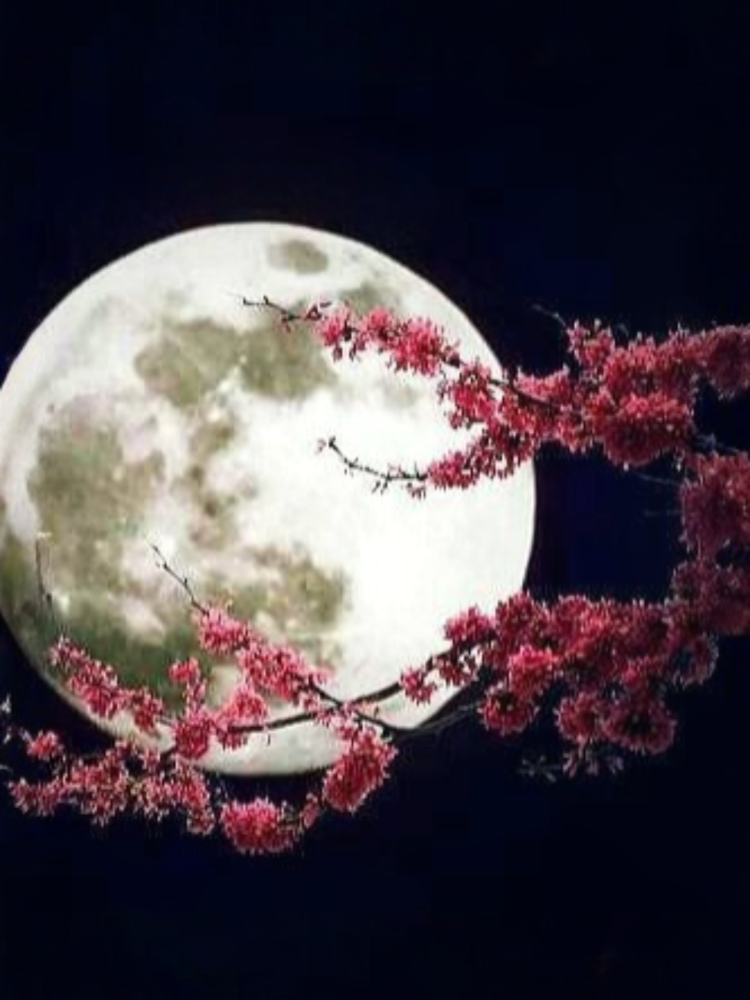 Luna llena con flores diamante cuadrado