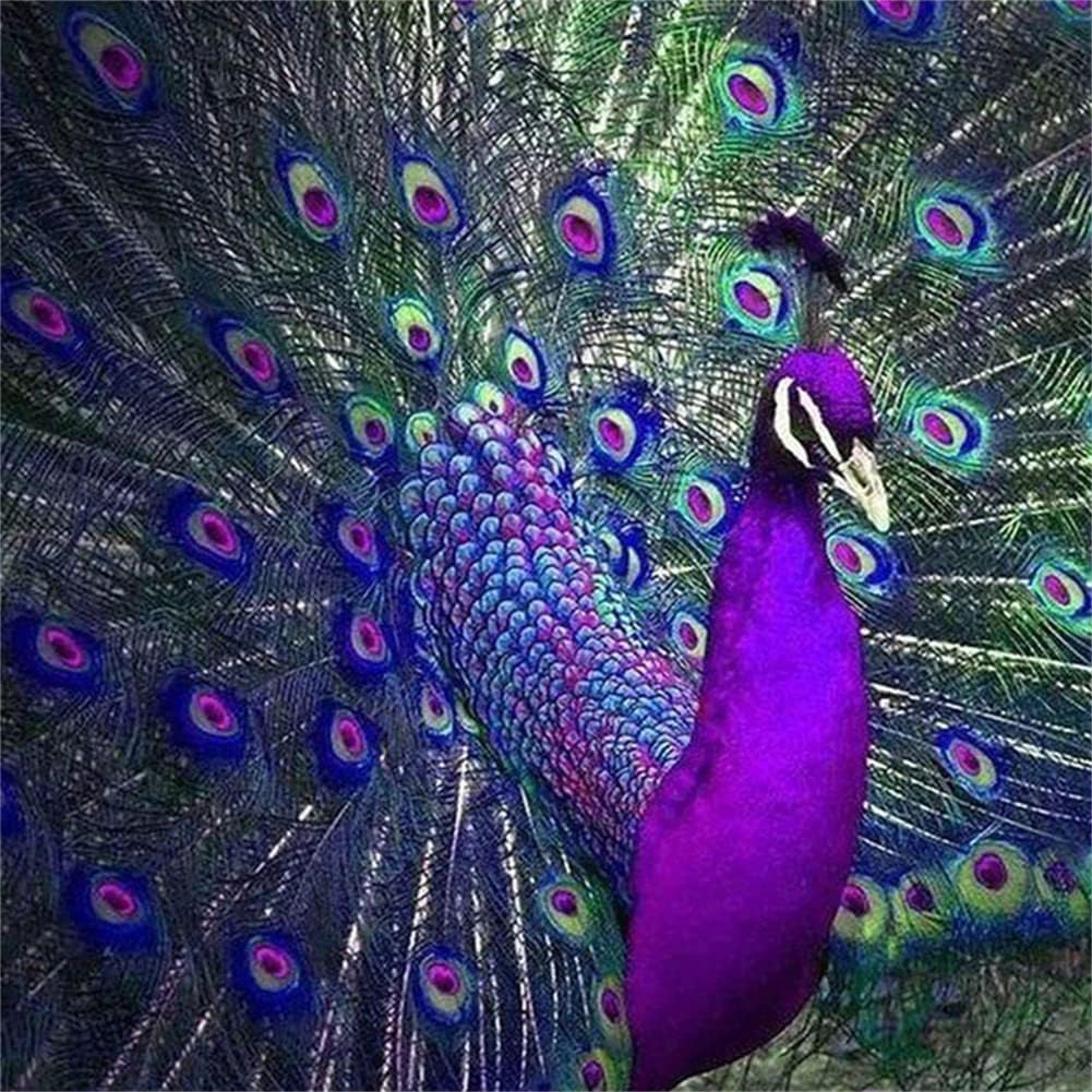 Pavo real-kit de pintura diamante